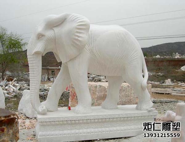 汉白玉大象石雕(图3) 4.jpg